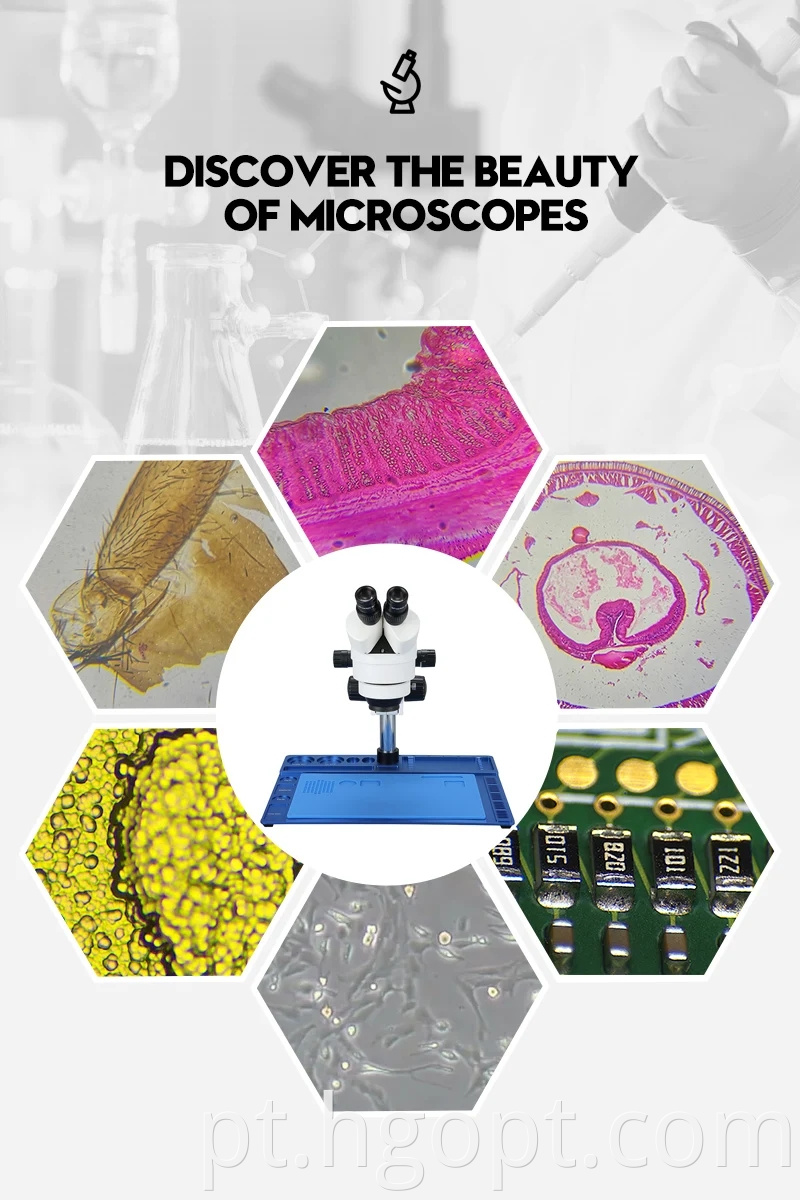 Hwf10x 22mm Zoom Stereo Microscopes Binocular Microscope